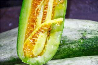 最新吃瓜网红,揭秘娱乐圈惊天秘密！